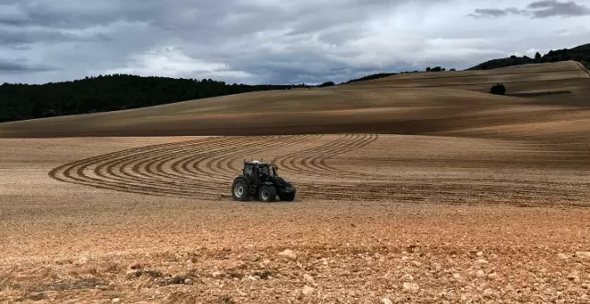 Agricultura regenerativa en Murcia, el futuro del campo pasa por aquí