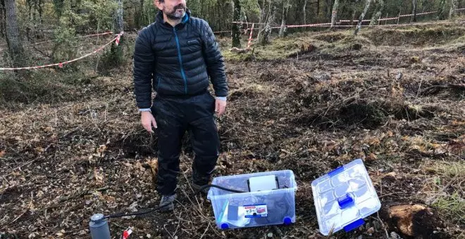 Es hora de tomarse en serio el suelo de los bosques