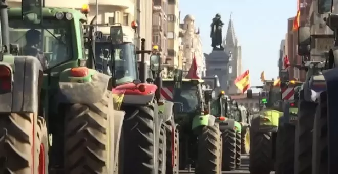 Revueltos y revueltas en los campos