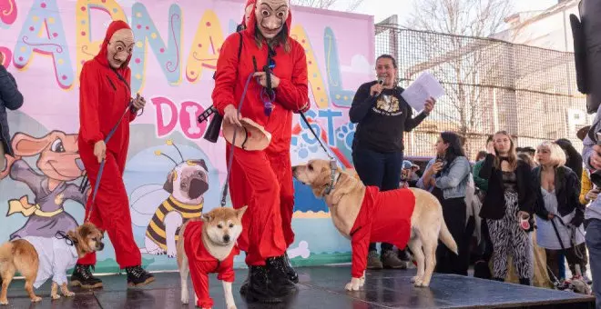 Éxito del 'Carnaval Dog Fest', el primer carnaval de perros y mascotas de la ciudad