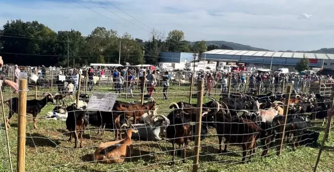 El Gobierno valora declarar la fiesta de San Lucas en Hoznayo de Interés Turístico Regional