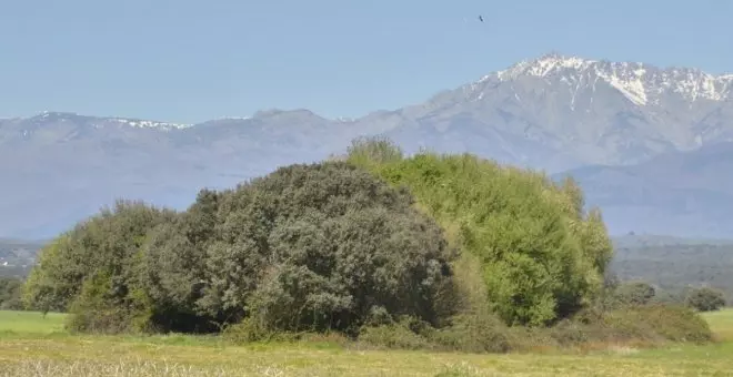 El Gobierno regional conmemora el Día Internacional de los Bosques con actividades en distintas áreas protegidas