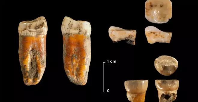 El Instituto de Prehistoria de Cantabria descubre restos neandertales más antiguos del norte de la Península Ibérica