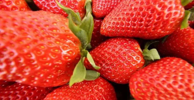 Nueva alerta por la presencia de Hepatitis A en fresas procedentes de Marruecos