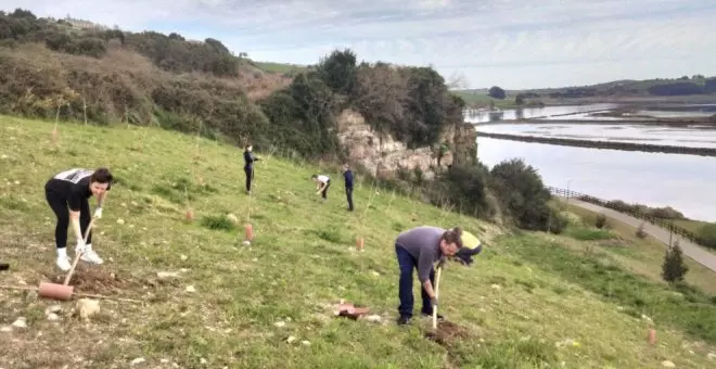 Voluntarios plantan 180 árboles en la ría de San Martín