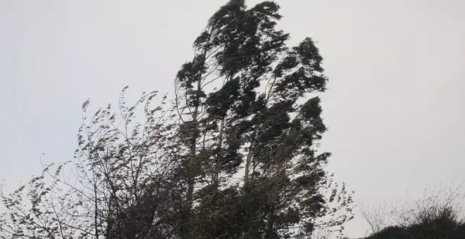 Cantabria registra dos de las máximas de viento del país