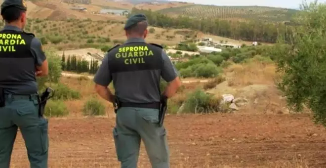 Investigado un hombre un pueblo de Ciudad Real por matar con una carabina de aire comprimido a los gatos de su vecina