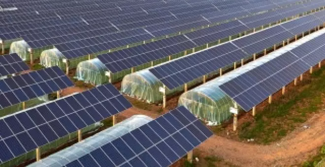 Un nuevo tipo de planta fotovoltaica permite, a la vez, producir energía y cultivar alimentos