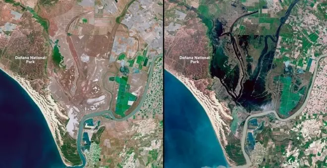 Doñana, la imagen de la recuperación tras las lluvias