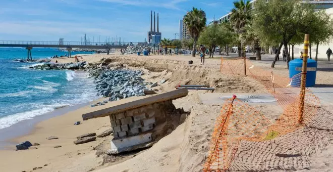 La frágil costa catalana busca soluciones en la naturaleza para paliar los impactos del cambio climático
