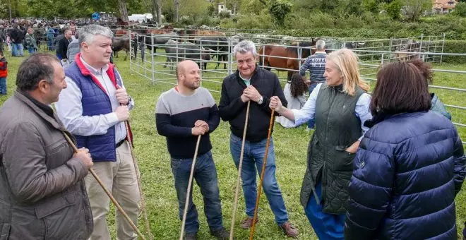 Casi un millar de animales participan en la XV feria ganadera