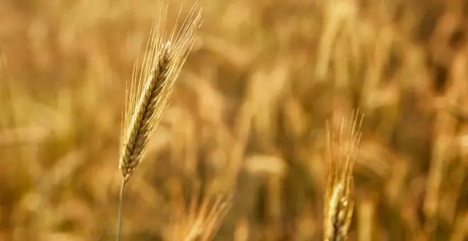 España habrá agotado este lunes todos los recursos naturales que le corresponden para este año