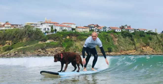 Perros surfeando las olas del mar cantábrico se hacen con la playa de Suances