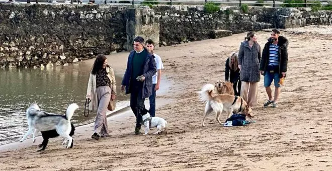 El PSOE quiere declarar 'pet friendly' la Playa de Gamazo e incluirla en el catálogo de playas urbanas