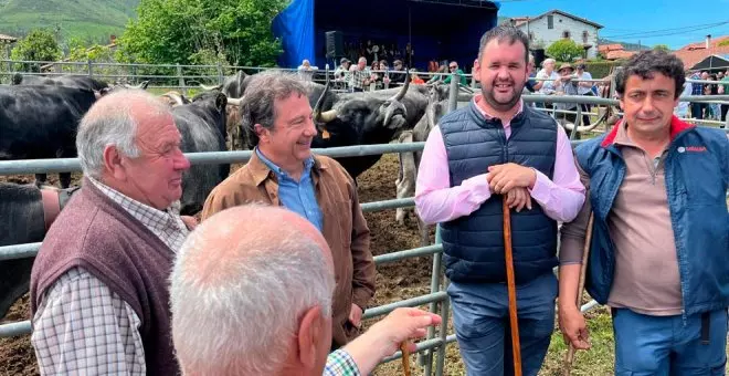 La III Feria Ganadera de las Flores de San Vicente del Monte reúne a más de medio millar de cabezas de ganado