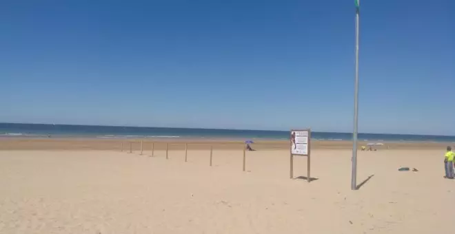 Polémica en Noja por la decisión del PP de eliminar la playa para mascotas, que muchos califican de "cacicada, "vergüenza", "cobardía" y "mentira"