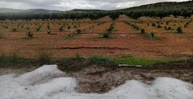 Una tormenta de agua y granizo arrasa 200 hectáreas de cultivos agrícolas en la localidad toledana de Manzaneque