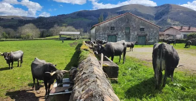 Los valles interiores de Cantabria ganan población por primera vez en los últimos años
