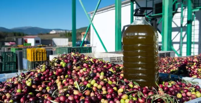 El aceite de oliva dejará de tener IVA a partir del 1 de julio