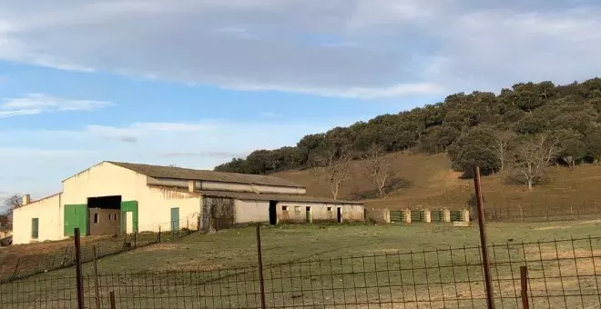 La oleada de saqueos en La Mancha y Campo de Calatrava se intensifica: los agricultores urgen a reforzar la seguridad