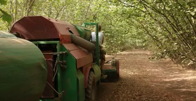 La Catalunya donde la sequía persiste: los cultivos de frutos secos y viñedos del Camp de Tarragona, al límite