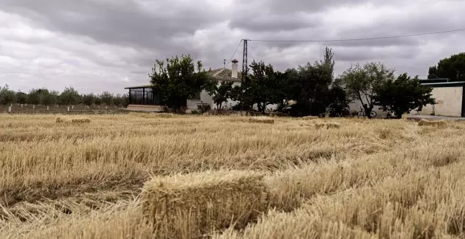 Asesinada una mujer en Antequera (Málaga) y detenida su pareja, un hombre de 62 años