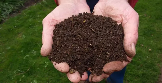 Hacer compost en casa: qué tienes que saber