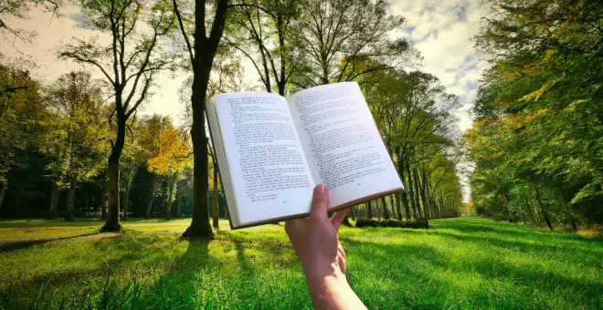 Cinco libros muy recomendables para adolescentes que amen los bosques