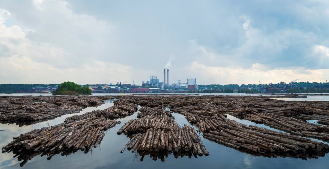 La transición verde en Europa pasa por la pampa: así es el impacto de las fábricas de celulosa finlandesas en Uruguay