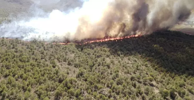 Medios aéreos y terrestres trabajan en la extinción de un incendio forestal en Hellín