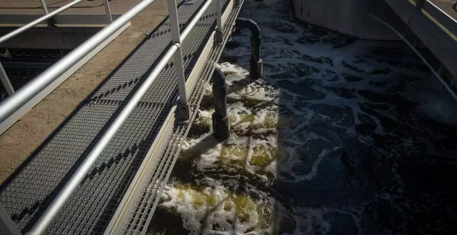 La Fiscalía investiga el vertido tóxico en el río Besòs que mató a centenares de peces