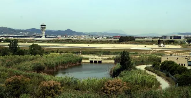 El Govern amplia les zones protegides per a les aus al Delta del Llobregat i aprova un paquet de mesures per preservar l'entorn