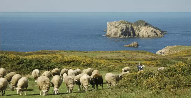 Salvar los pastos y prados de montaña: la experiencia del País Vasco  