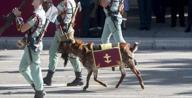 El director de Derechos de los Animales abre la puerta a prohibir que la cabra de la Legión desfile: "Es algo anacrónico"