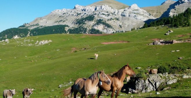 Set opcions per activar-te aquest estiu fent turisme a la Cerdanya