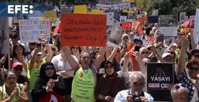 Protestan en Ankara en contra del proyecto de ley que permitiría el sacrificio de perros callejeros