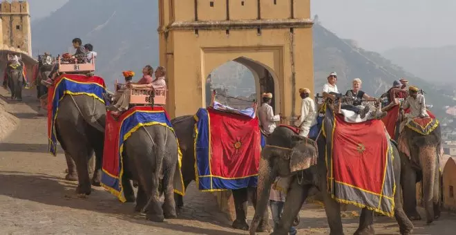 ¿Qué actividades turísticas con animales debería evitar cuando viajo?