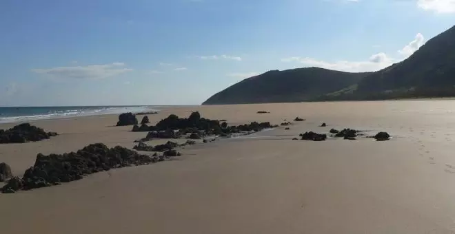 Dos playas de Noja con más riesgo de carabelas portuguesas este verano