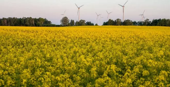 Cantabria Acelera su Transición Hacia las Energías Renovables: Un Modelo a Seguir en España