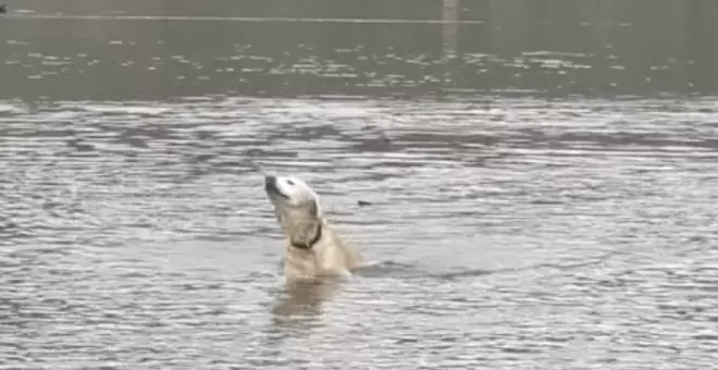 La usina y el río que se llevó a Capulín