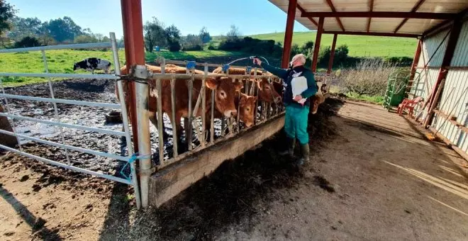 La Ley de Control Ambiental, que reduce trámites administrativos de las empresas, prevé multas de hasta medio millón