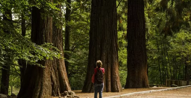 De la conservación a la restauración: el cambio de paradigma que supone la nueva ley europea de la naturaleza