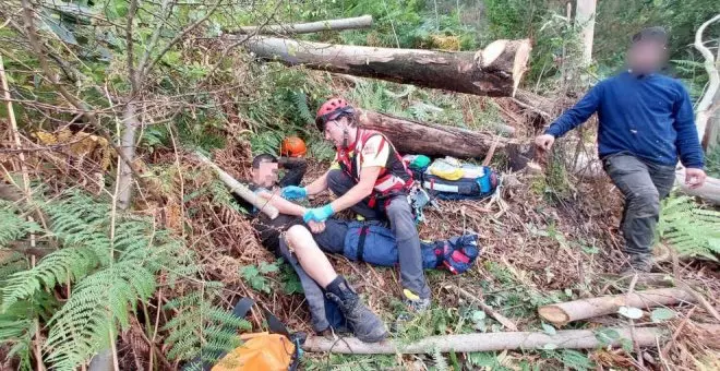 Evacuado un trabajador forestal tras caerle un árbol y provocarle una fractura abierta en la pierna