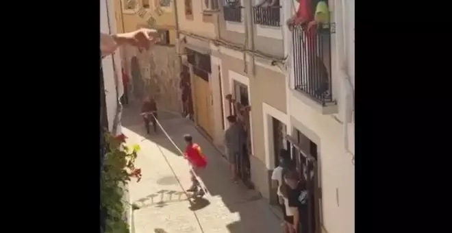 Estudian medidas legales tras la muerte de un toro por descargas eléctricas durante un encierro en un pueblo de Albacete