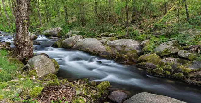 Canto a las fuentes, ríos, gargantas y manantiales de Jaraíz de la Vera, en Gredos