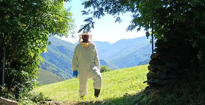 Bosques, colmenas, miel... No se nos ocurre nada más sano