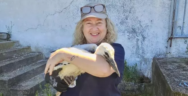 "Hemos encontrado hasta una fregona en un nido de cigüeña"