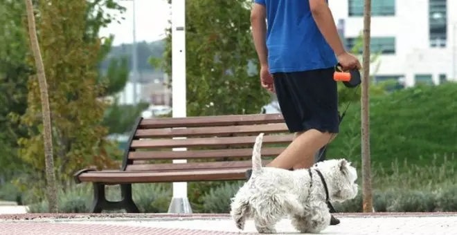 ¿Tener mascota ayuda a la salud mental?