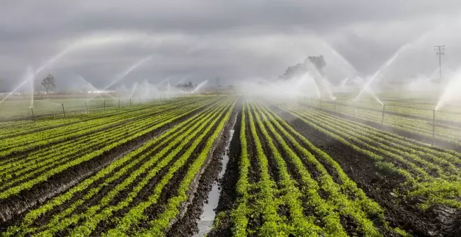 Echo-logic: el diálogo rural-urbano en la transición ecológica