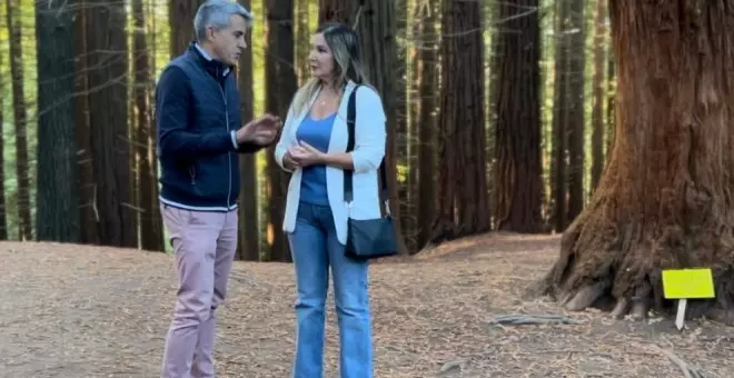 "Reclamamos medidas al Gobierno y al ayuntamiento para proteger el bosque de Secuoyas, un espacio natural que se degrada ante la inacción y la falta de toma de decisiones del PP"